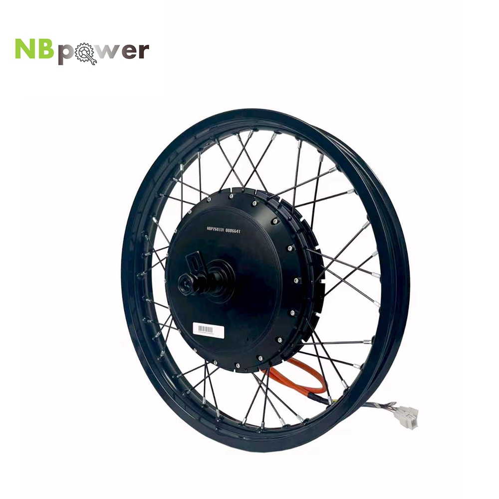 Qs Motor 273 8000W Hub Motor - Мотор-колесо NBpower/170mm Dropout QS 273 40H
